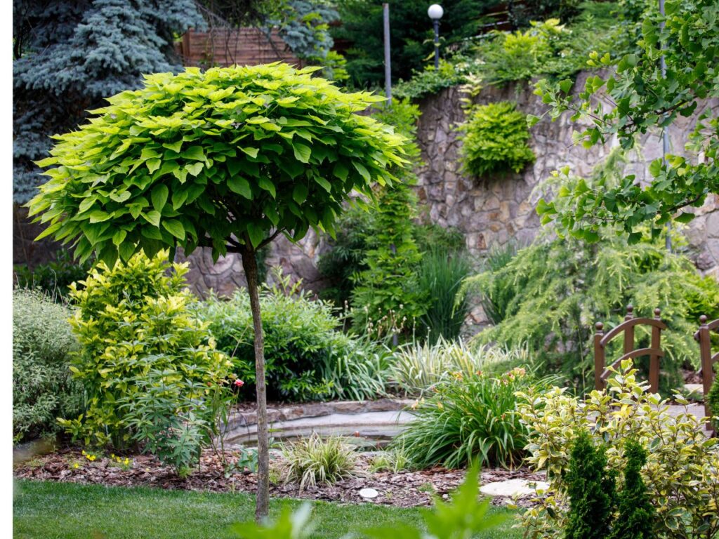 árnyas panzió gödöllő