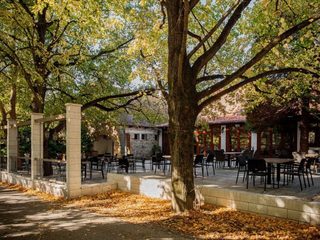 dudok rendezvényház