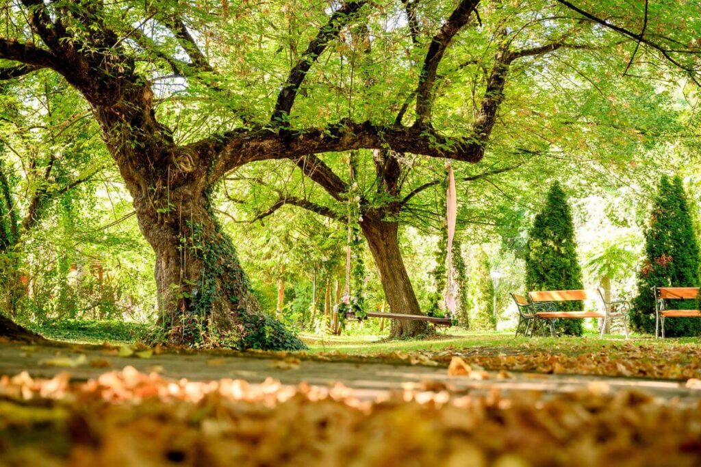 forster vadászkastély esküvőhelyszín