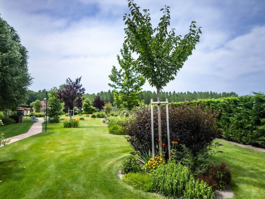 harlekin birtok ceglédbercel esküvői helyszín