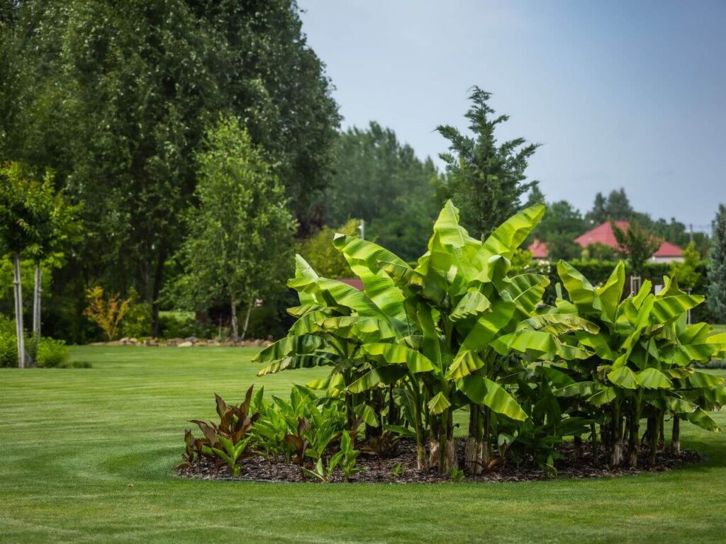 harlekin birtok ceglédbercel esküvői helyszín
