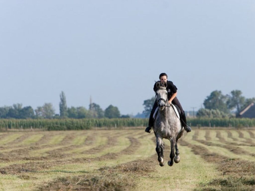 hétkúti wellness hotel esküvőhelyszín mór