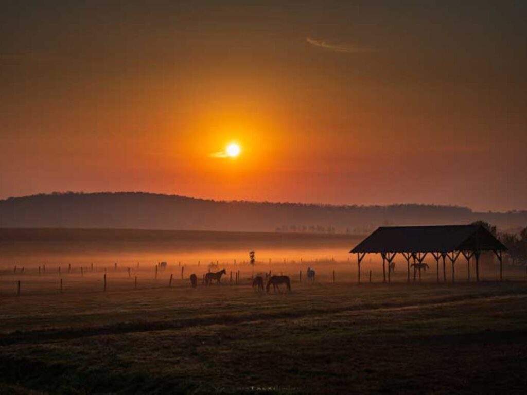 hétkúti wellness hotel esküvőhelyszín mór