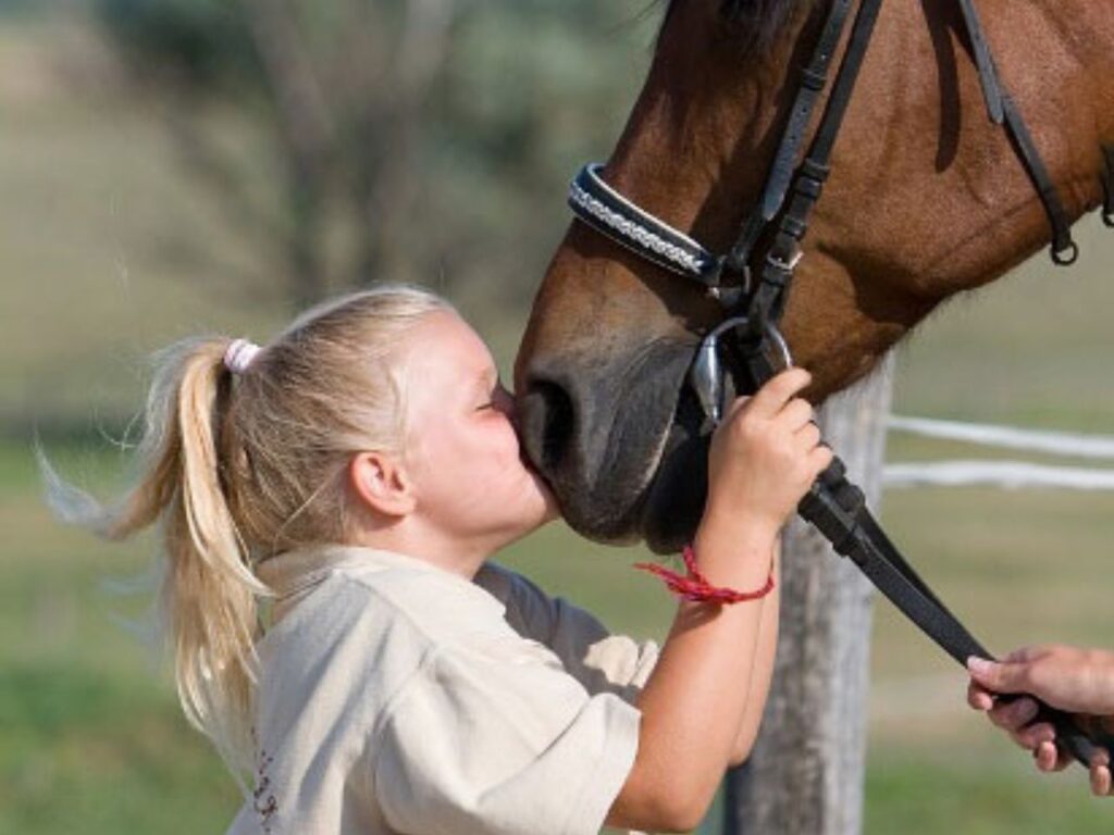 hétkúti wellness hotel esküvőhelyszín mór