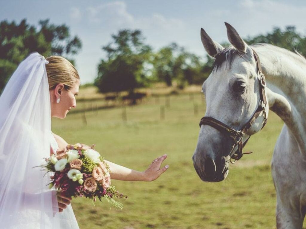 hétkúti wellness hotel