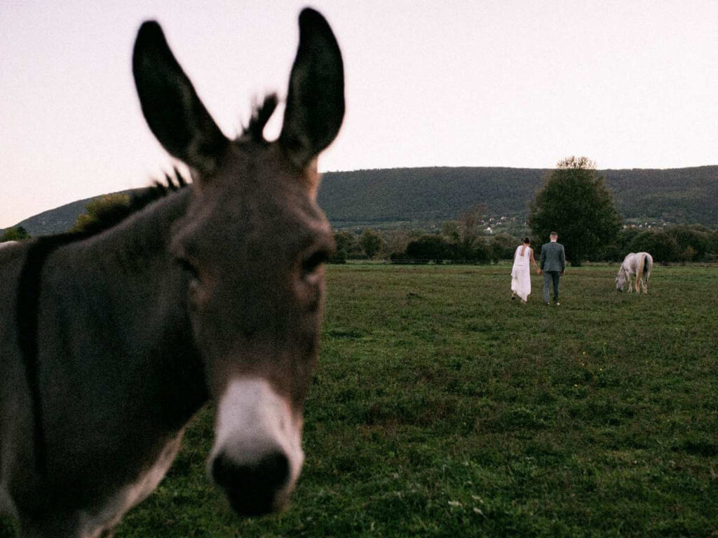 idrányi puszta esküvői helyszín