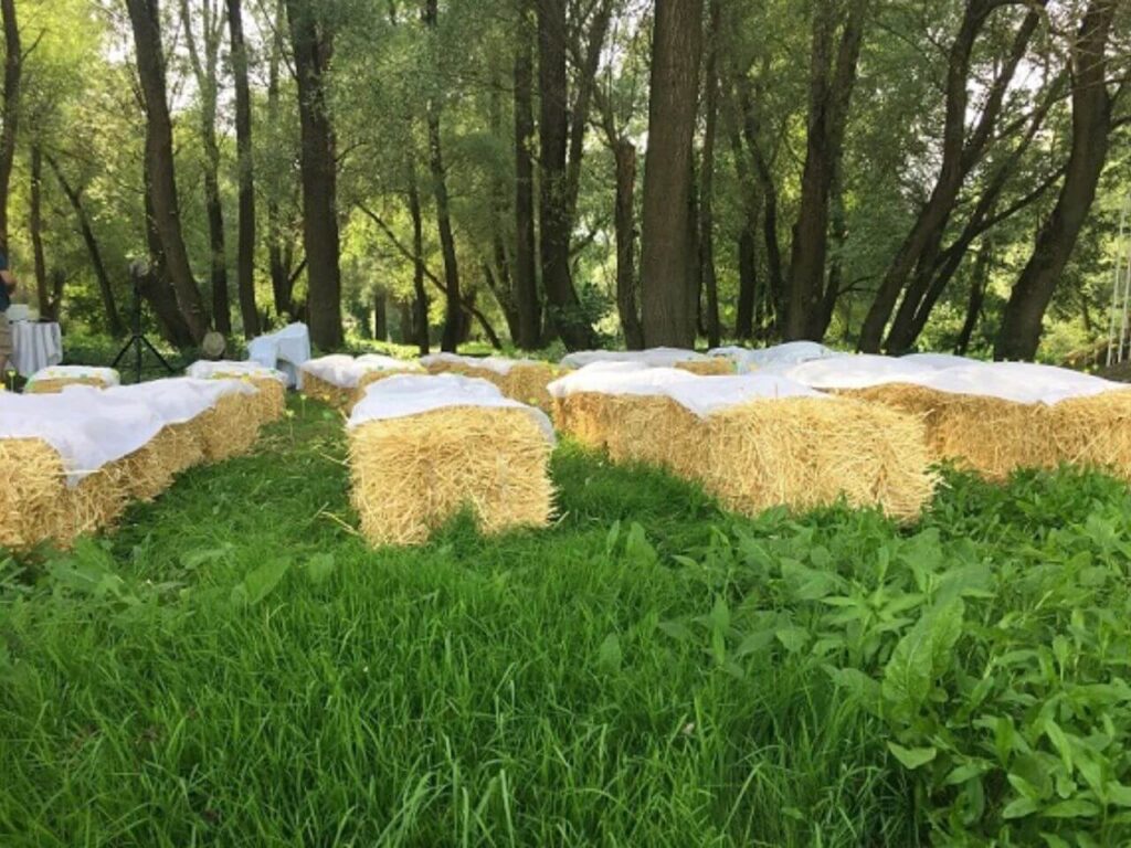 invitárium pap-sziget esküvői helyszín