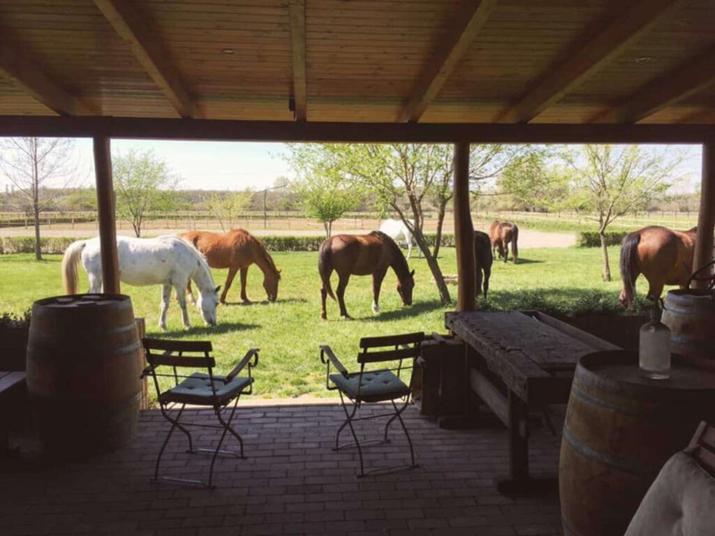 jakab lovasudvar esküvő helyszín