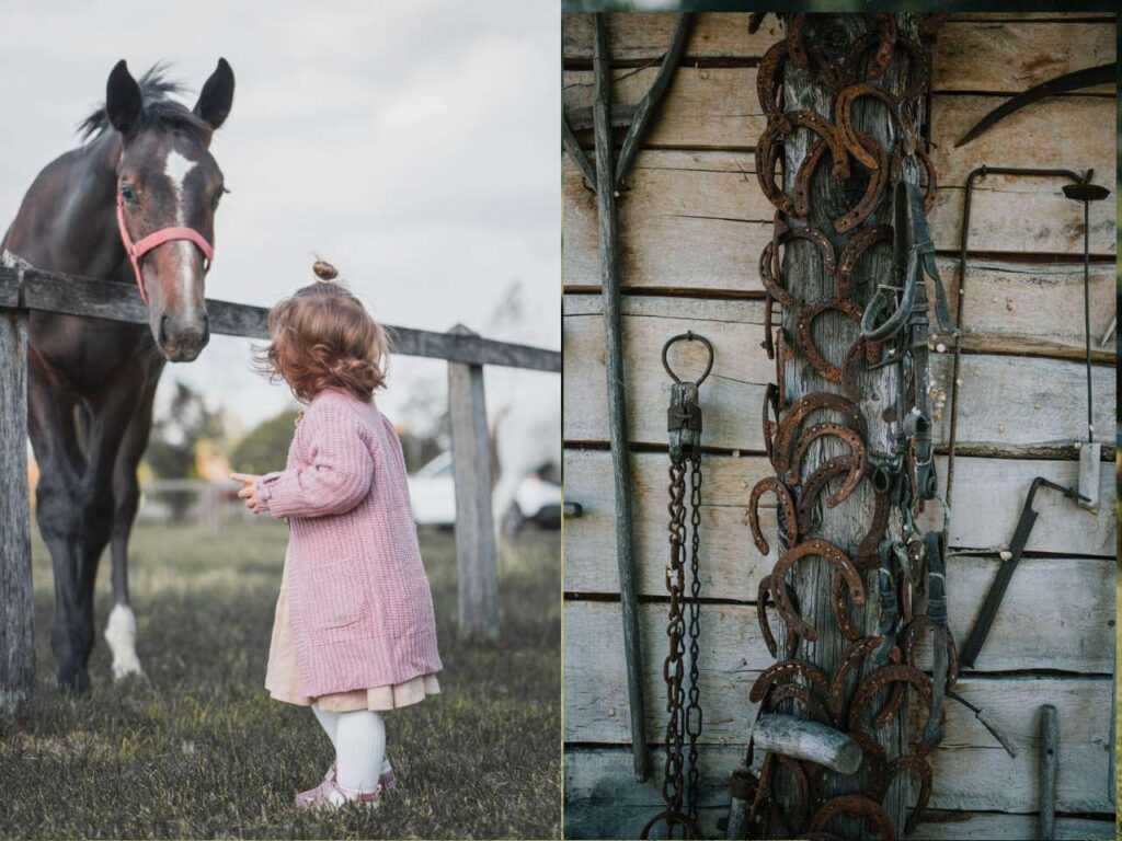 jakab lovasudvar esküvő helyszín