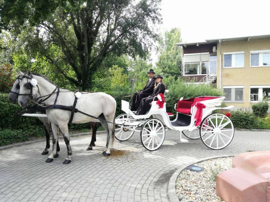 panoráma étterem törökbálint