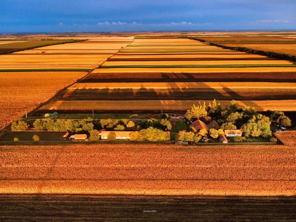 tuba tanya vintage nagyhegyes esküvői helyszín